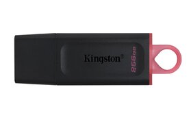 Kingston USB Stick - 256GB - USB-A - Zwart