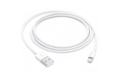 Apple Lightning | Apple Lightning 8-Pins | USB-A Male | 1.00 m | Rond | PVC | Wit/Grijs