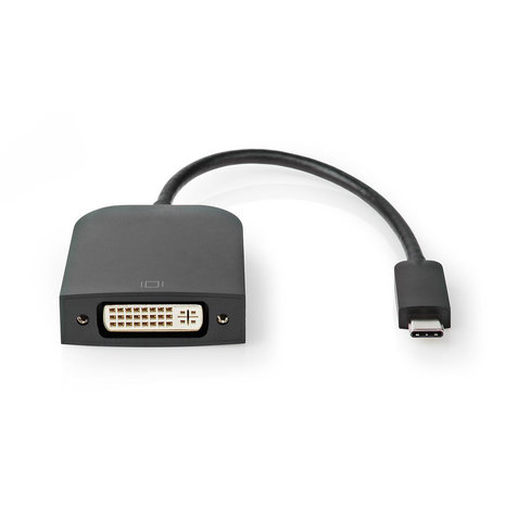 USB-C naar DVI 20cm