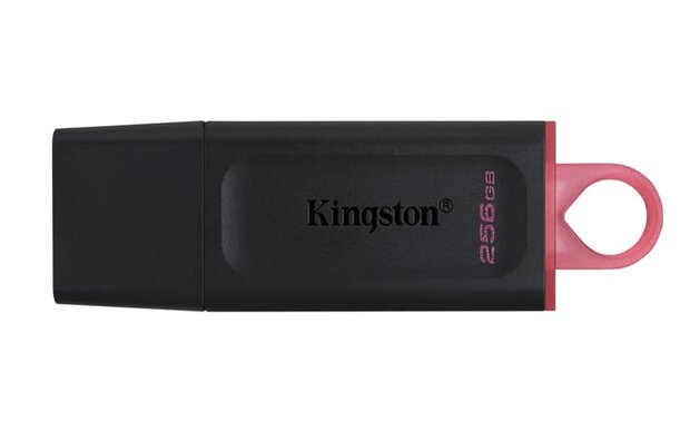 Kingston USB Stick - 256GB - USB-A - Zwart