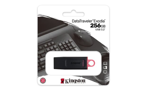 Kingston USB Stick - 256GB - USB-A - Zwart